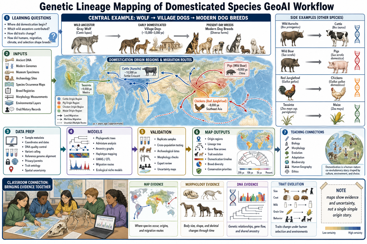 Genetic lineage mapping of domesticated species GeoAI workflow